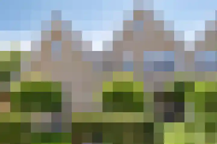 Fidelio 33 Kampen thumbnail 56