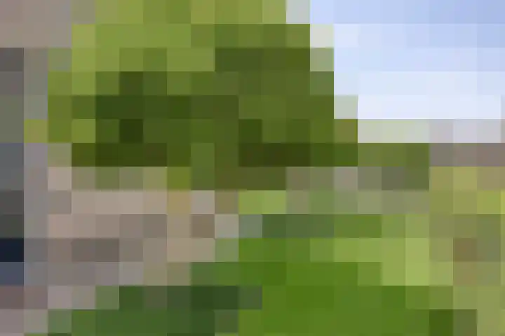 Fidelio 33 Kampen thumbnail 64