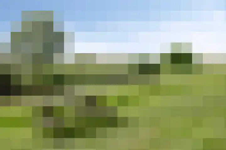 Fidelio 33 Kampen thumbnail 71