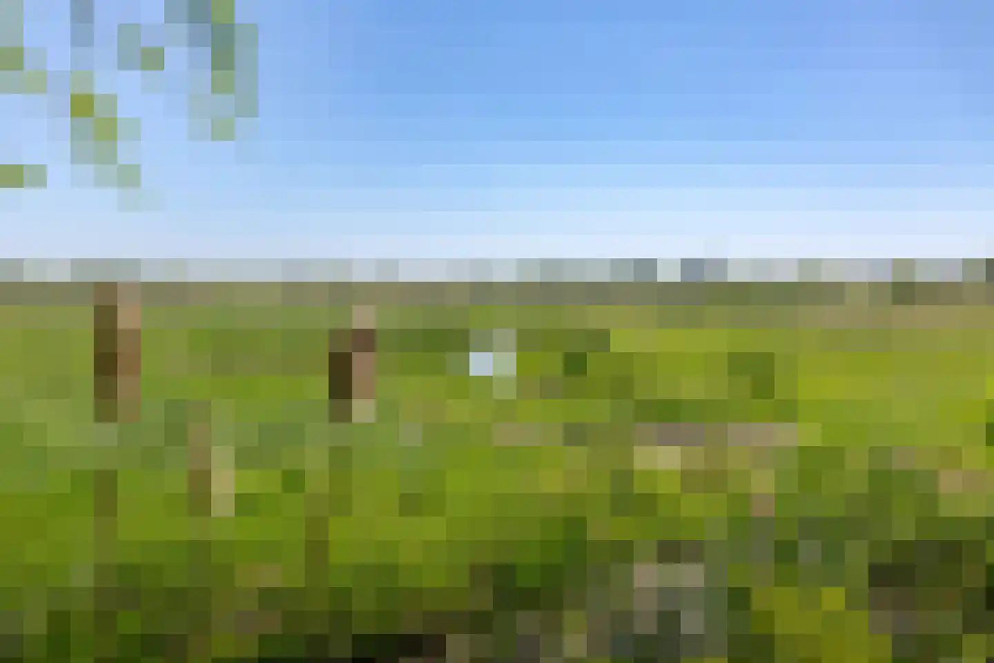 Fiifgeawei 8 Offingawier thumbnail 25