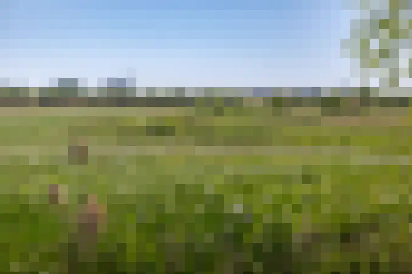Fiifgeawei 8 Offingawier thumbnail 32