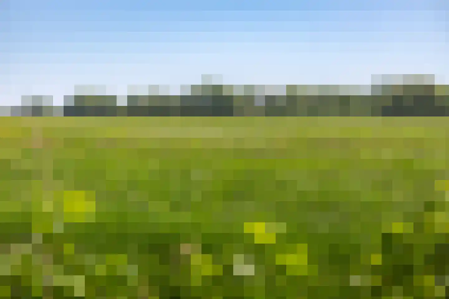 Fiifgeawei 8 Offingawier thumbnail 34