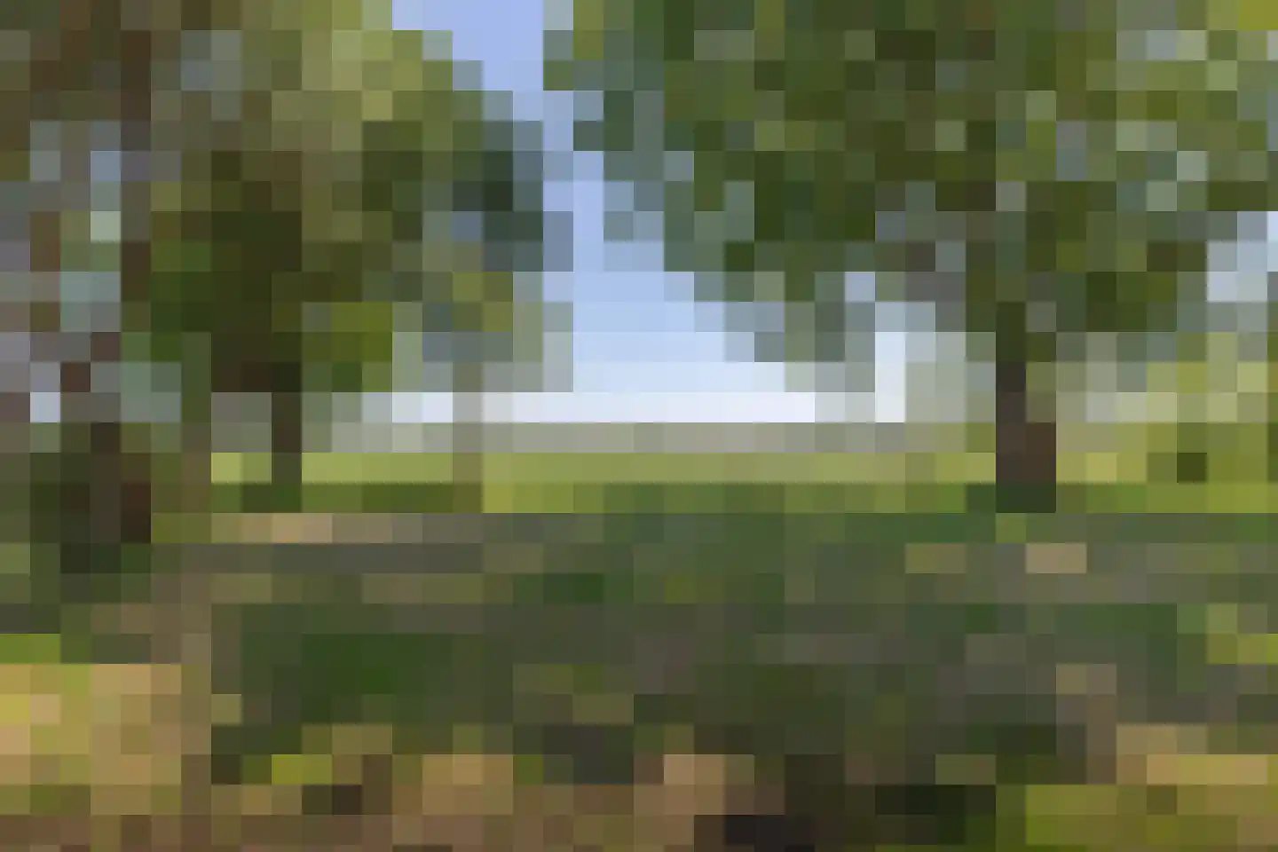 Fiifgeawei 8 Offingawier thumbnail 5