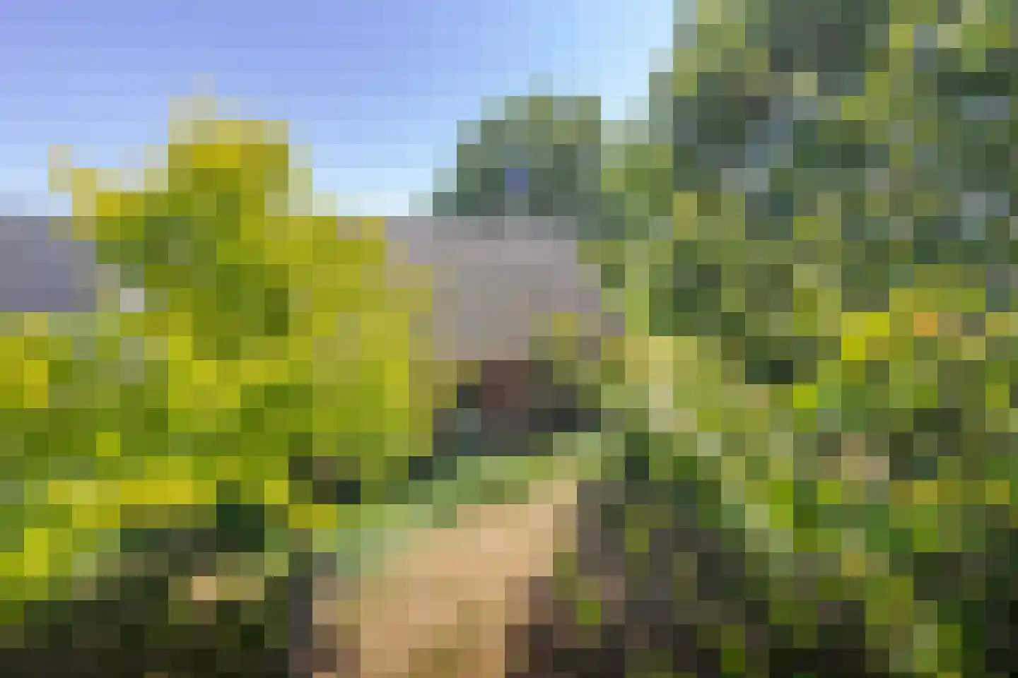 Fiifgeawei 8 Offingawier thumbnail 8