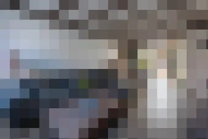 Finefrau 62 Kerkrade thumbnail 8