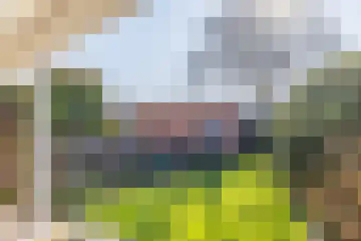 Finefrau 71 Kerkrade thumbnail 27