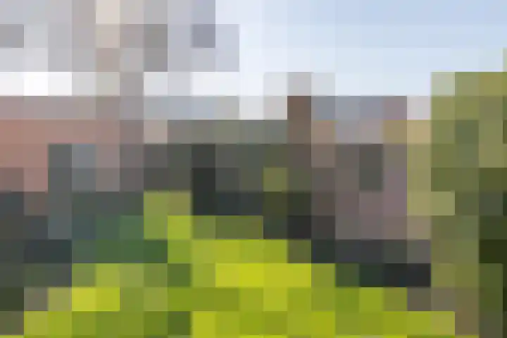 Finefrau 71 Kerkrade thumbnail 28