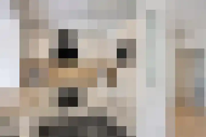 Finefrau 91 Kerkrade thumbnail 15