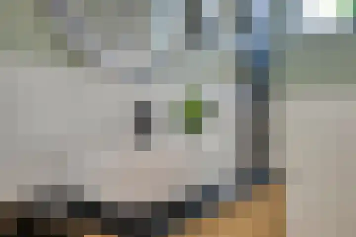 Finefrau 91 Kerkrade thumbnail 28