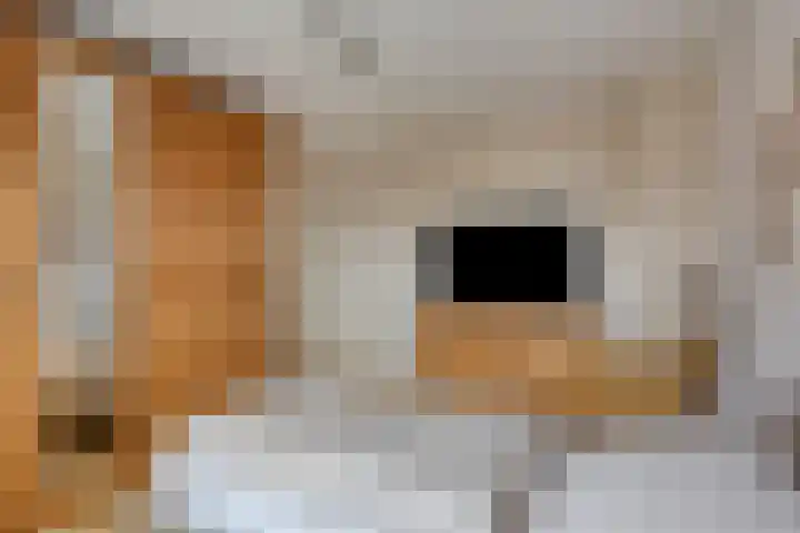 Finefrau 91 Kerkrade thumbnail 30