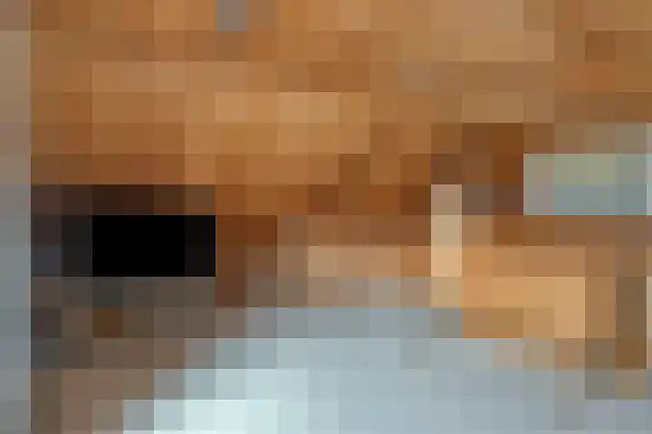 Finefrau 91 Kerkrade thumbnail 32