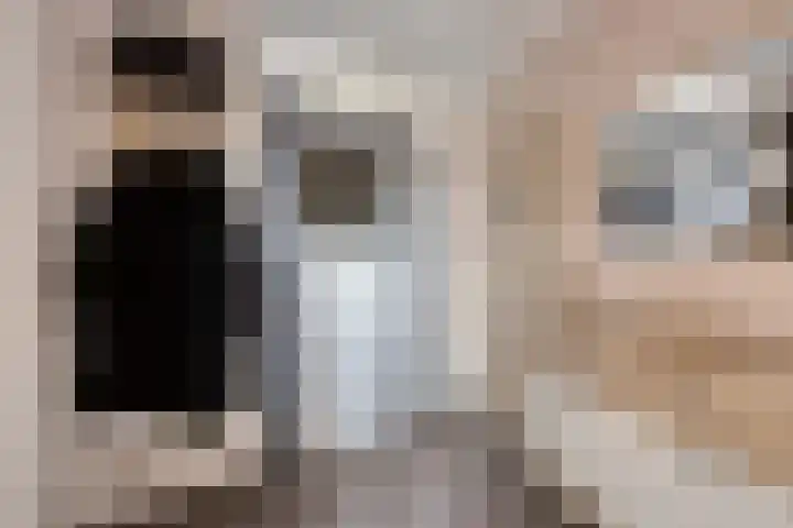 Finefrau 91 Kerkrade thumbnail 33