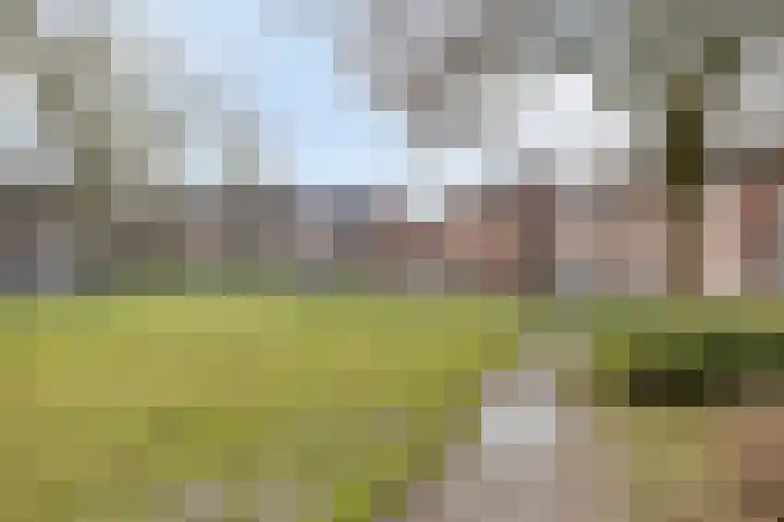 Finefrau 91 Kerkrade thumbnail 6