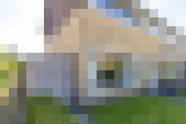 Finne 48 Britsum thumbnail 11