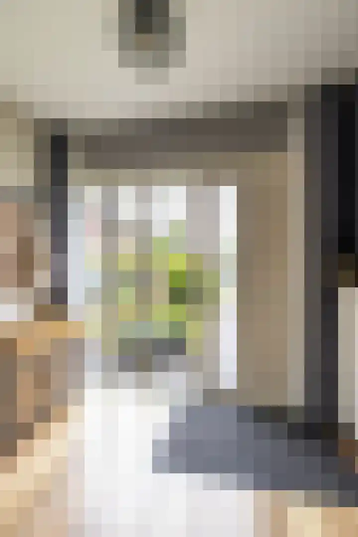 Finne 48 Britsum thumbnail 15
