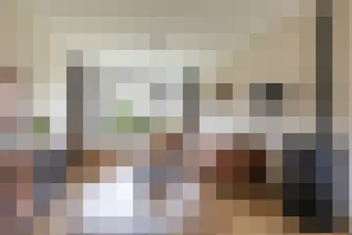 Finne 48 Britsum foto 2