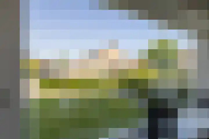 Finne 48 Britsum thumbnail 21