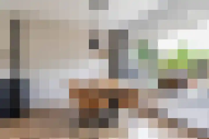 Finne 48 Britsum thumbnail 23