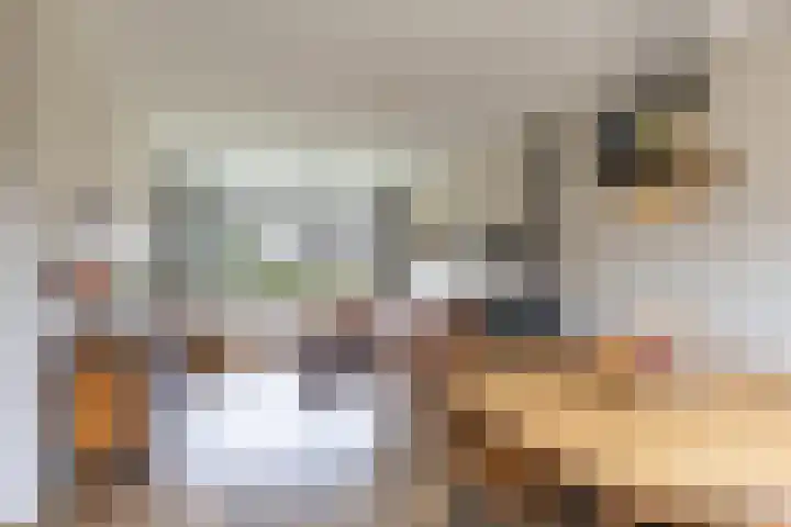 Finne 48 Britsum thumbnail 27