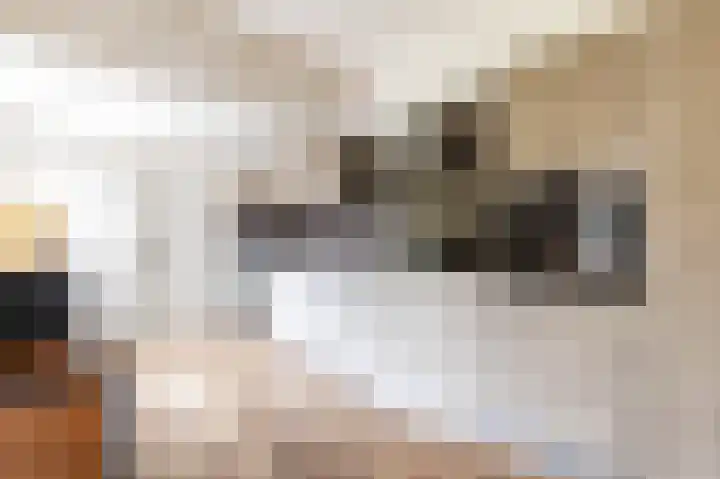Finne 48 Britsum thumbnail 28