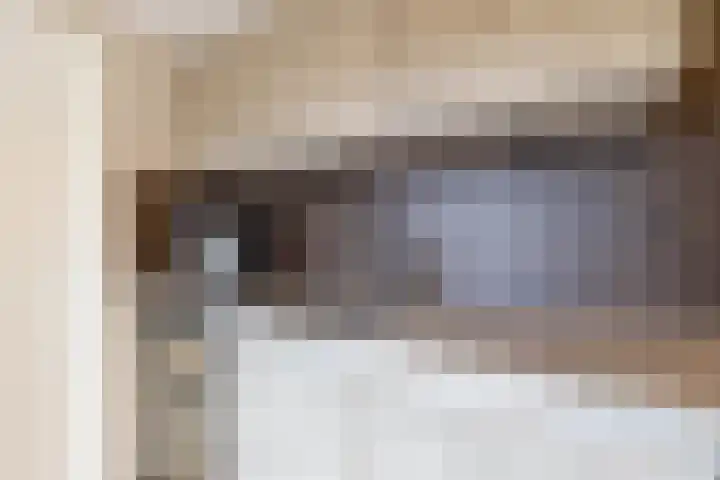 Finne 48 Britsum thumbnail 30