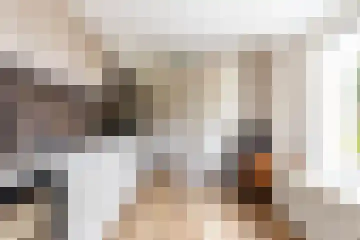 Finne 48 Britsum thumbnail 32