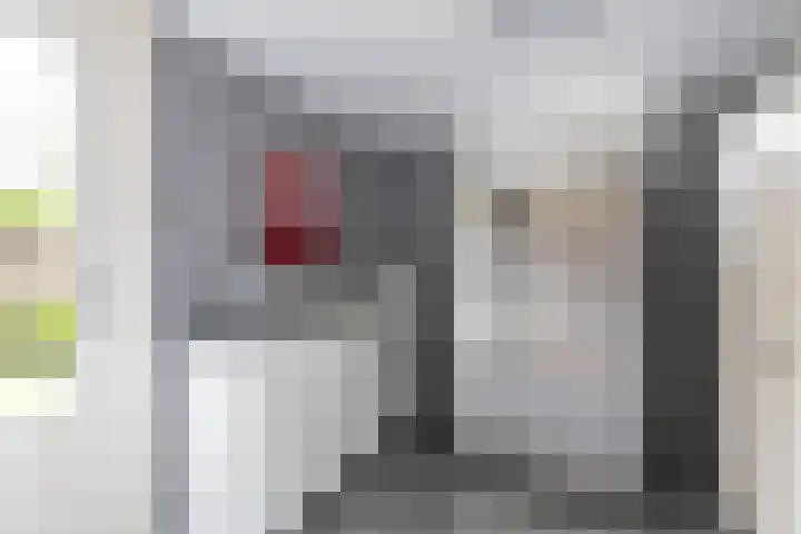 Finne 48 Britsum thumbnail 33