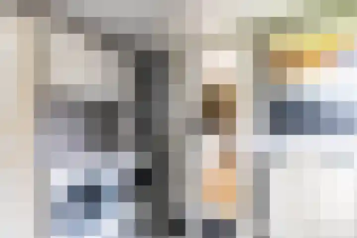 Finne 48 Britsum thumbnail 34