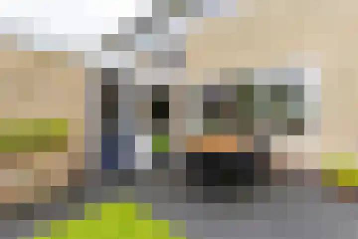 Finne 48 Britsum thumbnail 35
