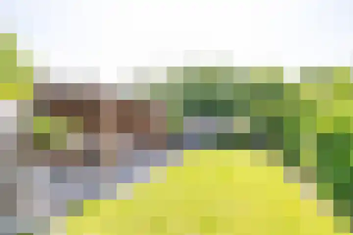 Finne 48 Britsum thumbnail 37