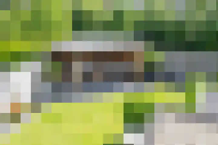 Finne 48 Britsum thumbnail 38