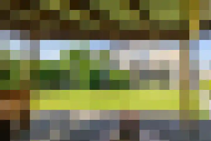 Finne 48 Britsum thumbnail 39
