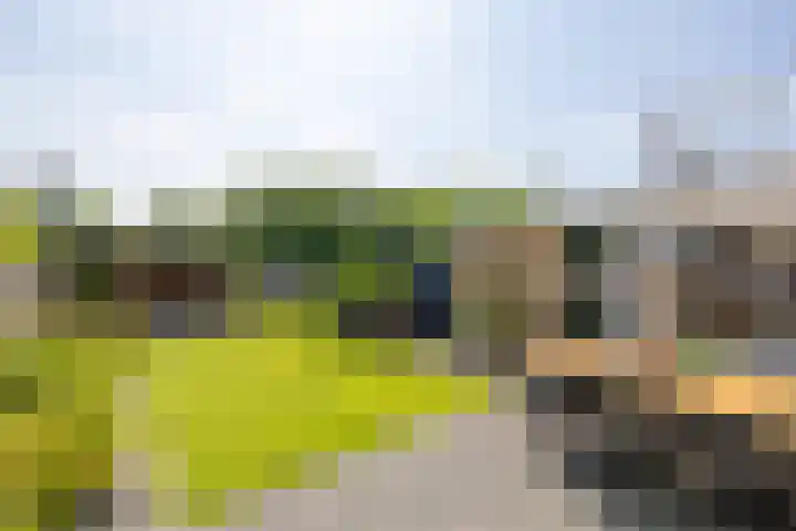 Finne 48 Britsum thumbnail 4