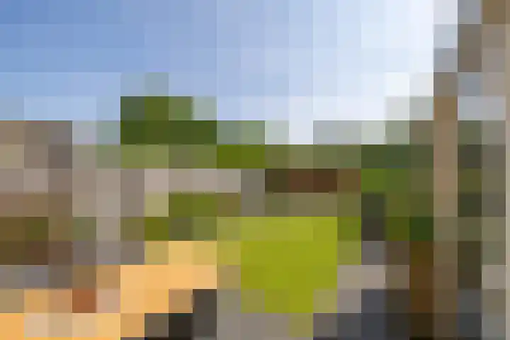 Finne 48 Britsum thumbnail 41