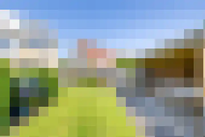 Finne 48 Britsum thumbnail 42