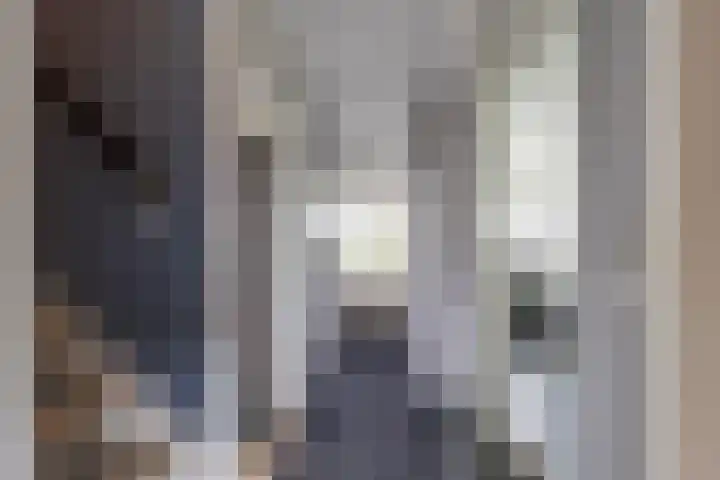 Finne 48 Britsum thumbnail 47