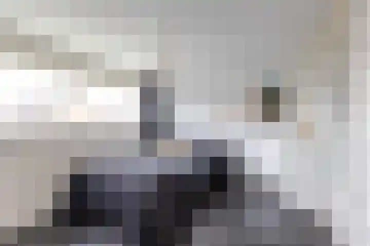 Finne 48 Britsum thumbnail 49