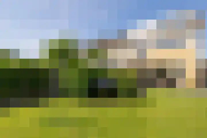 Finne 48 Britsum thumbnail 5