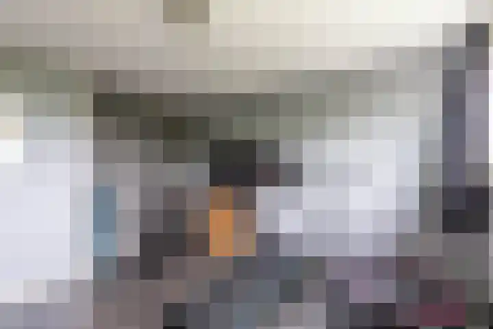 Finne 48 Britsum thumbnail 52