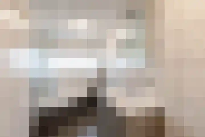 Finne 48 Britsum thumbnail 54