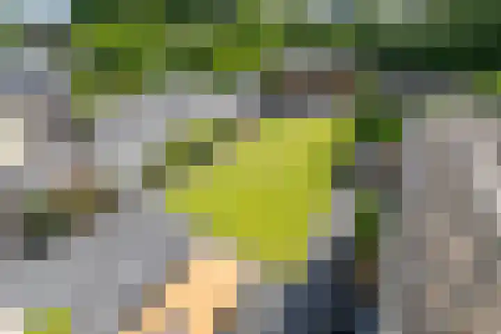 Finne 48 Britsum thumbnail 60