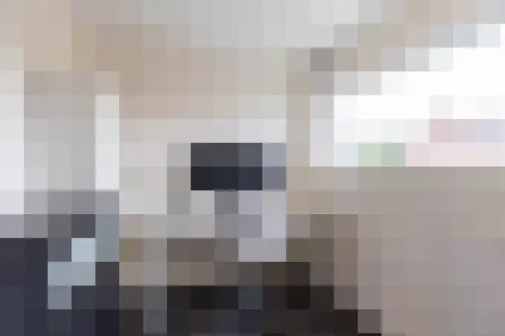 Finne 48 Britsum thumbnail 61