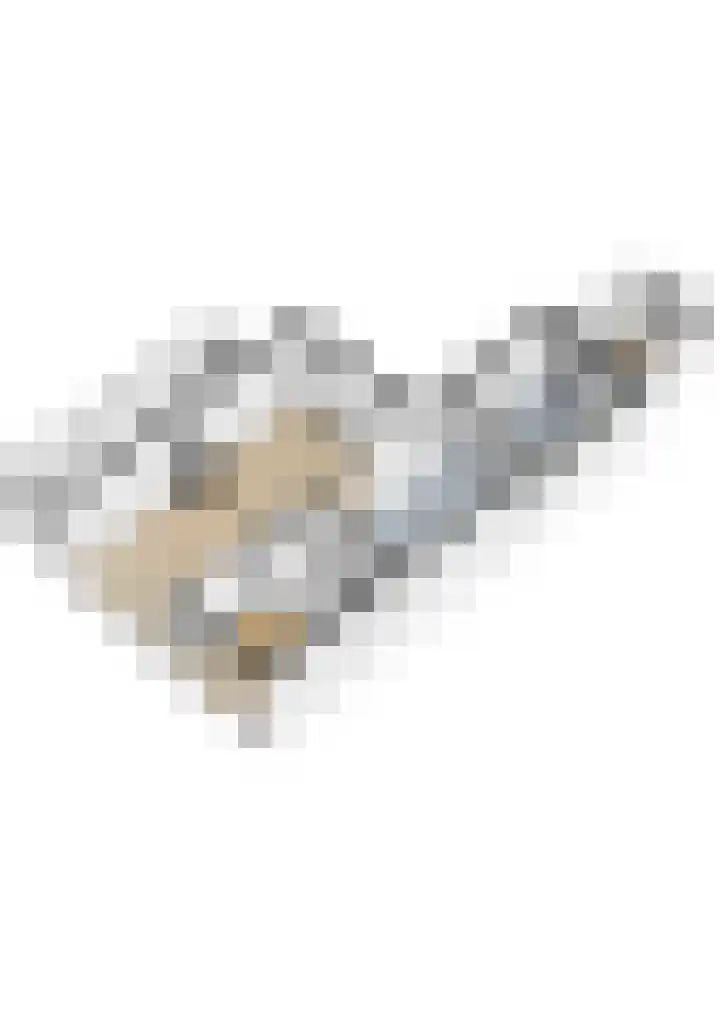 Finne 48 Britsum thumbnail 67