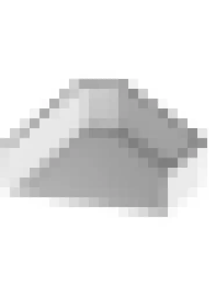 Finne 48 Britsum thumbnail 73