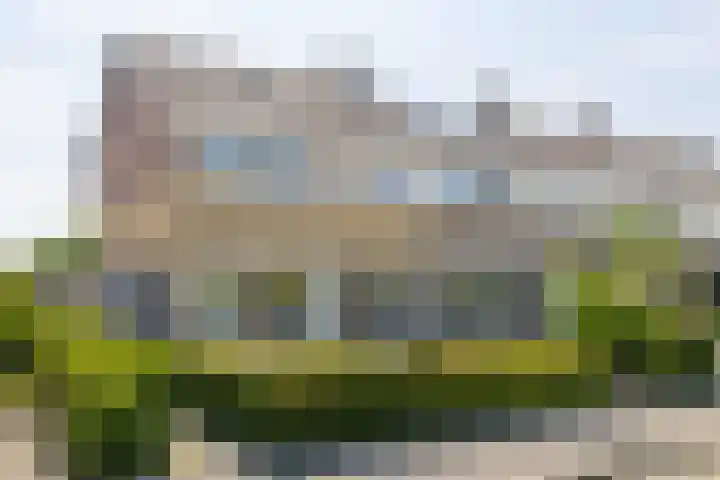 Finne 48 Britsum thumbnail 76