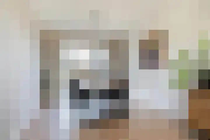 Finne 51 Hallum thumbnail 11