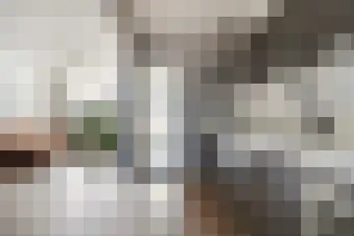 Finne 51 Hallum thumbnail 13