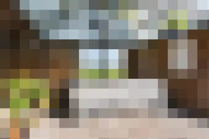 Finne 51 Hallum thumbnail 27