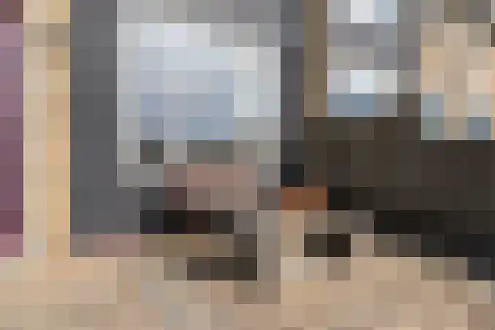 Finne 51 Hallum thumbnail 30