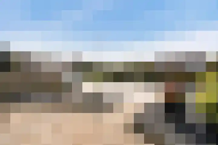 Finne 51 Hallum thumbnail 31